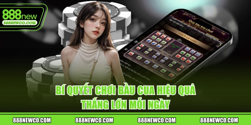 Bí quyết chơi bầu cua hiệu quả, thắng lớn mỗi ngày