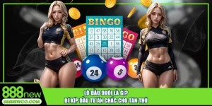 Lô đầu đuôi là gì